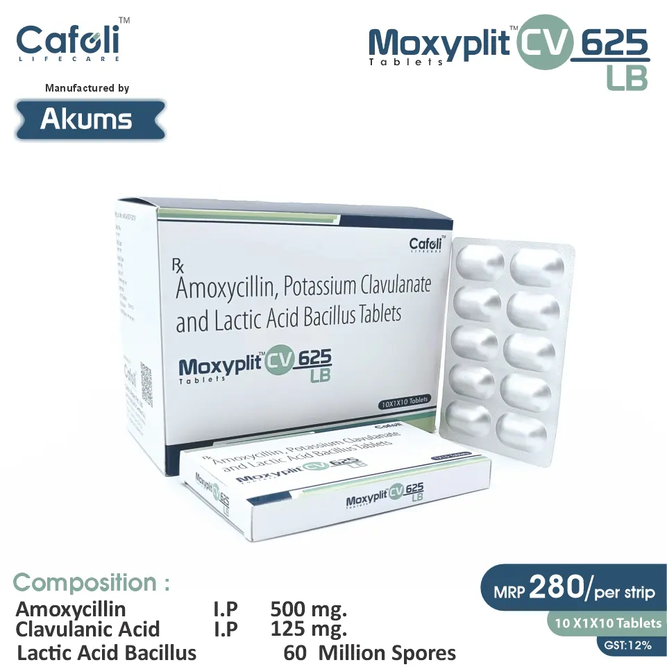 Amoxycillin (500mg) + Clavulanic Acid (125mg) + Lactobacillus (60 Million spores) Tablet at Best Price in PCD Pharma Franchise for Probiotic Support.